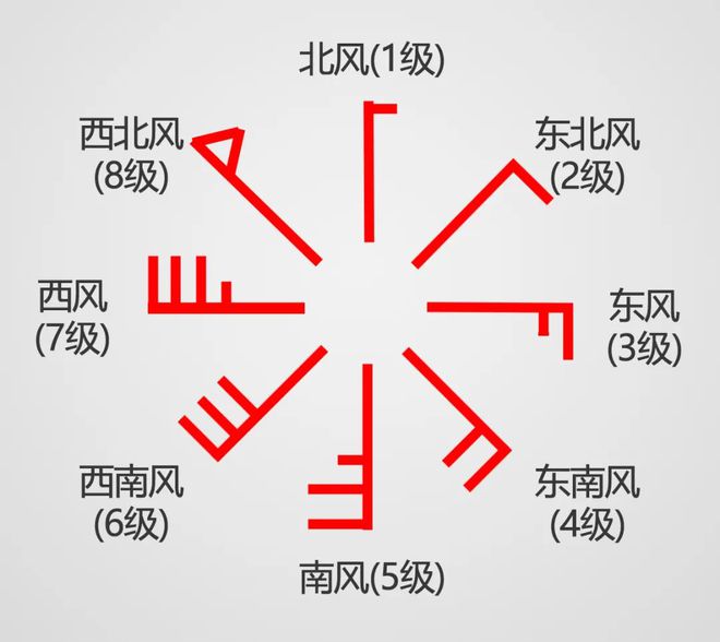 上海天气太任性：先创新低再冲22℃！41条景观道开启落叶不扫→(图1)